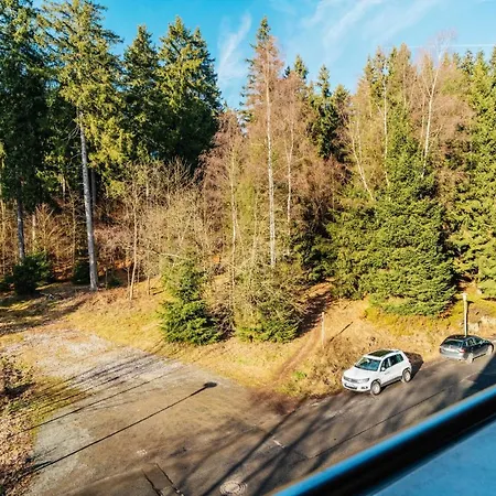 Laerche * Braunlage